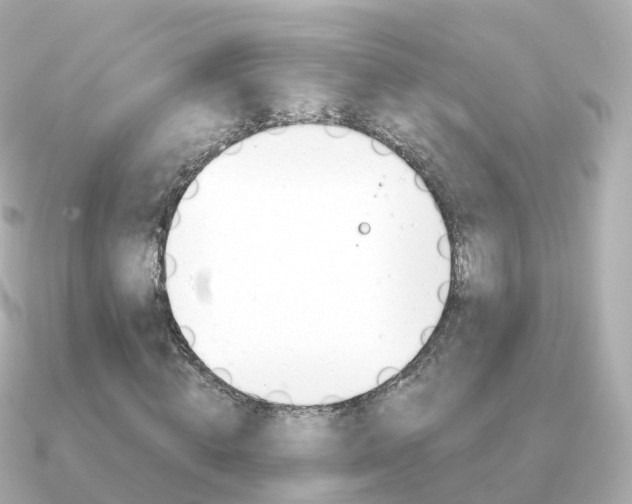 X0000091340820200708101017