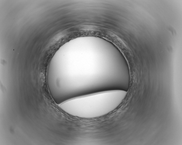 X0000091340821200708101018