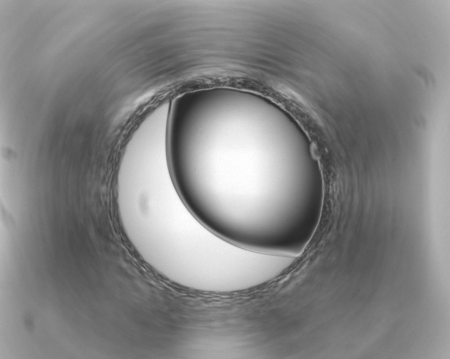 X0000091340822200708101018