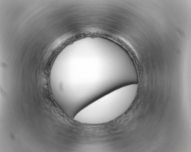 X0000091340823200708101018