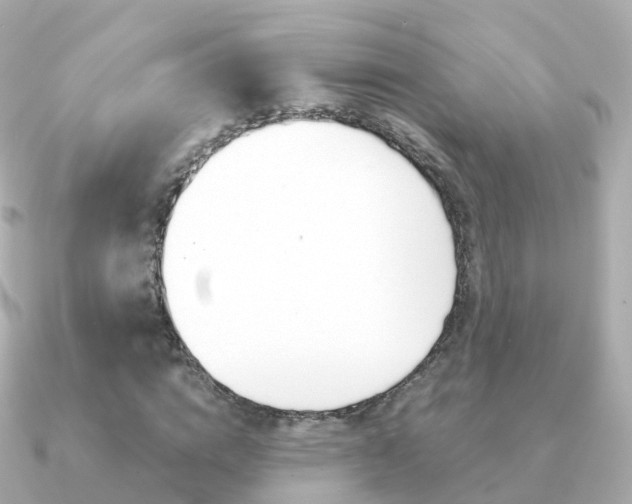 X0000091340824200708101018