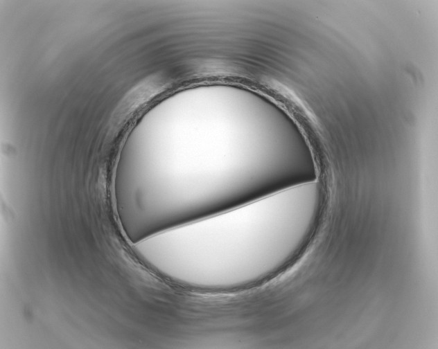 X0000091340825200708101018