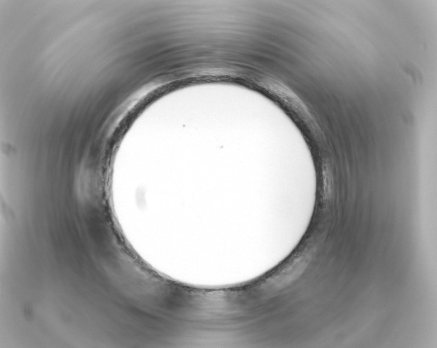 X0000091340828200708101018