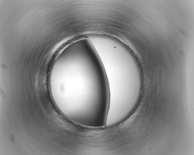 X0000091340830200708101018