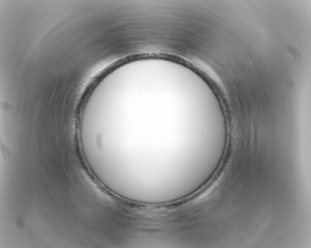X0000091340831200708101018