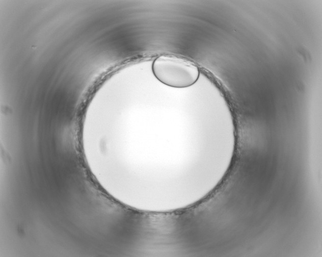 X0000091340832200708101018