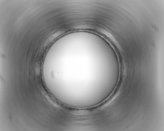 X0000091340833200708101018