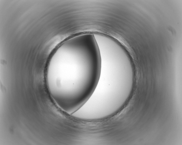 X0000091340834200708101018