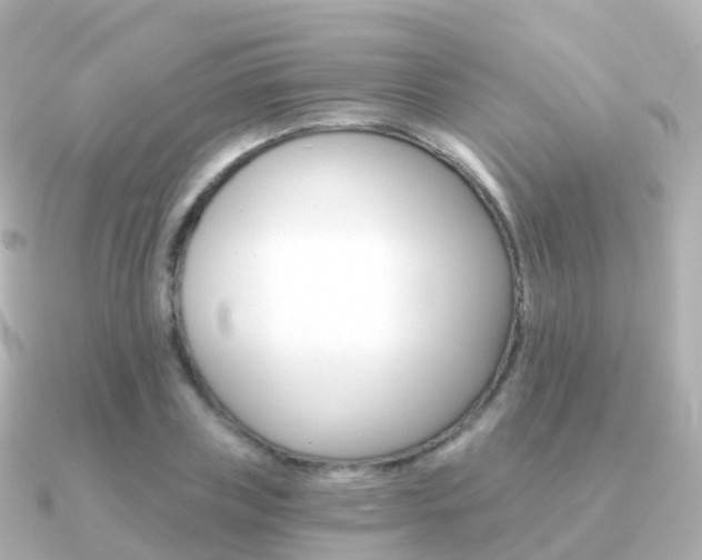 X0000091340835200708101018