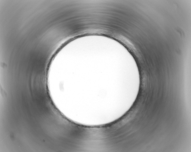 X0000091340836200708101018
