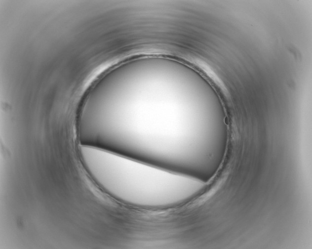 X0000091340837200708101018