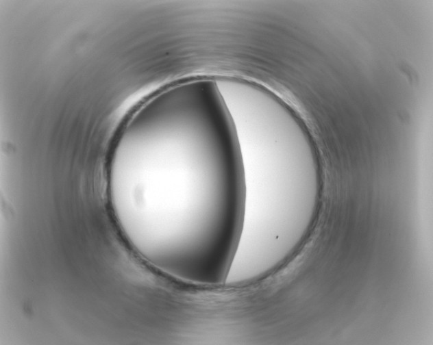 X0000091340838200708101018