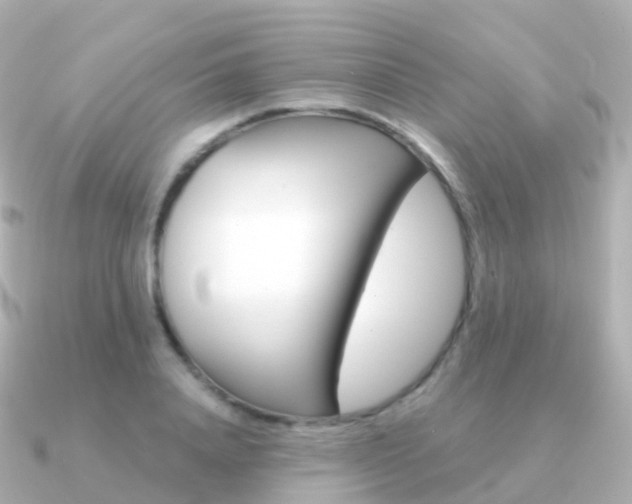 X0000091340840200708101018