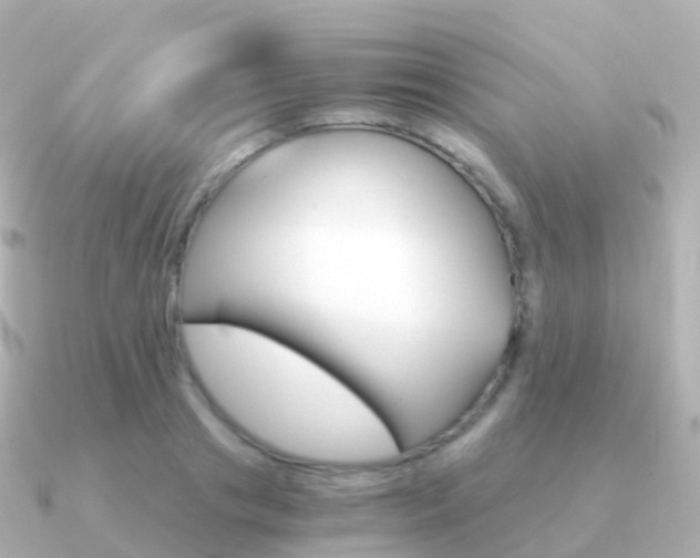 X0000091340841200708101018