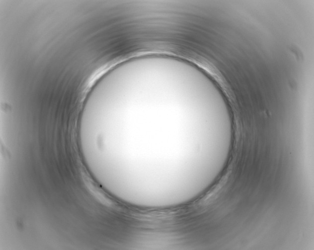 X0000091340842200708101018