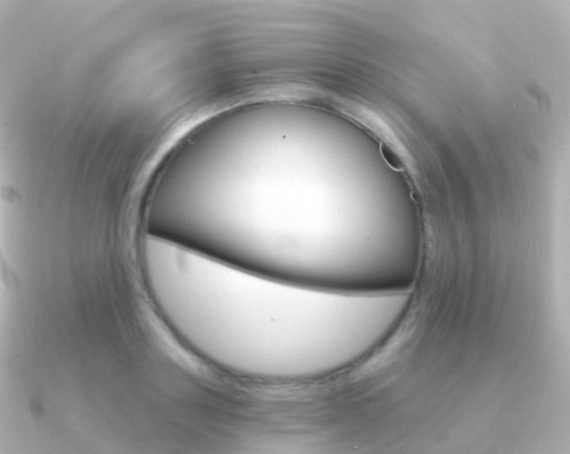 X0000091340843200708101018