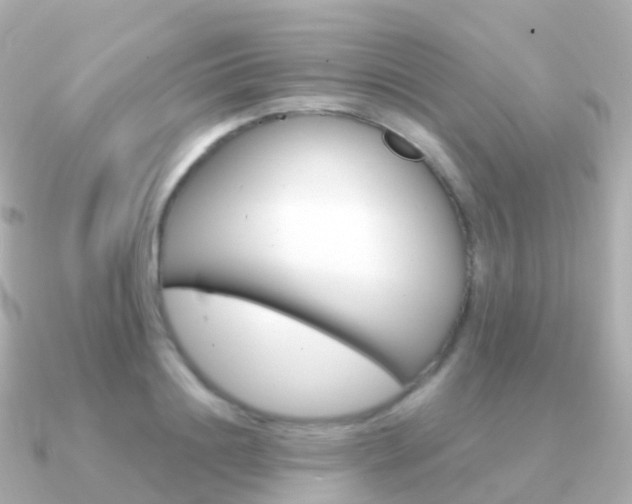 X0000091340844200708101018