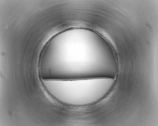 X0000091340845200708101018
