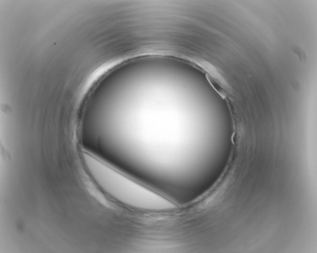 X0000091340846200708101018