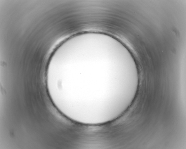 X0000091340848200708101018
