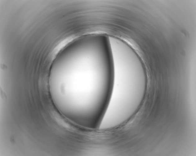 X0000091340850200708101018