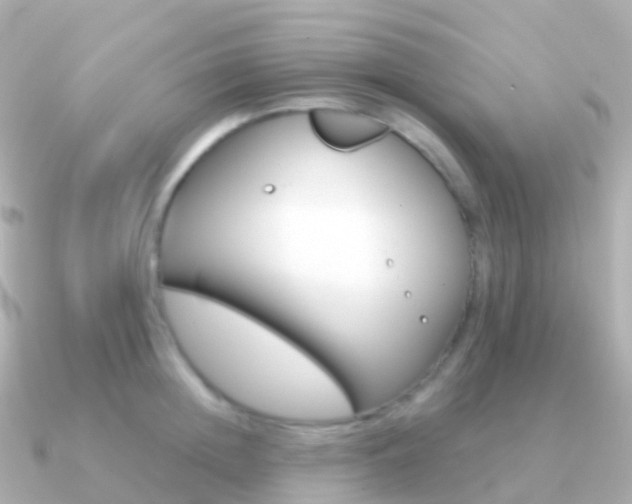 X0000091340852200708101018