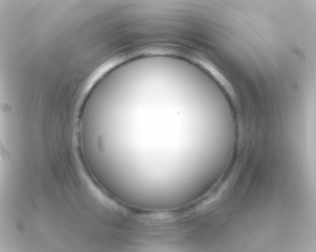 X0000091340853200708101018
