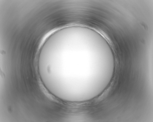 X0000091340854200708101018