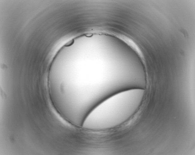 X0000091340855200708101018