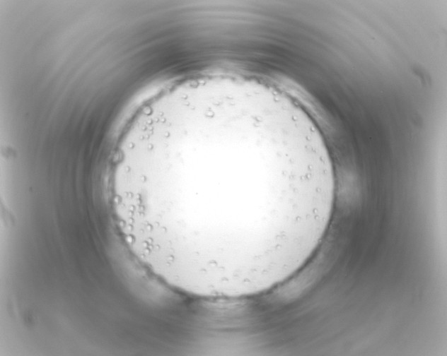 X0000091340856200708101018