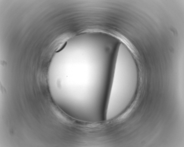 X0000091340857200708101018