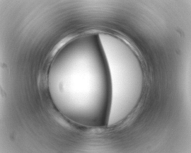 X0000091340858200708101018