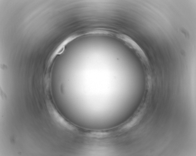 X0000091340860200708101018