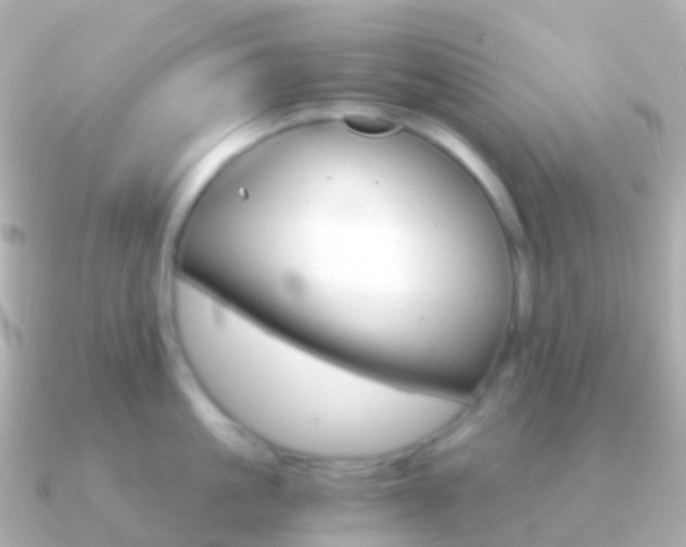 X0000091340861200708101018