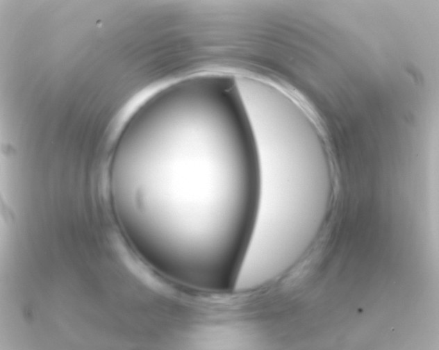 X0000091340862200708101018