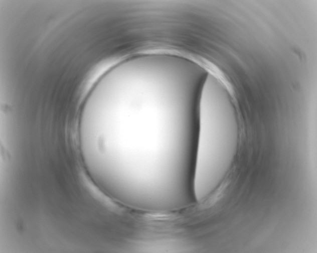 X0000091340863200708101018