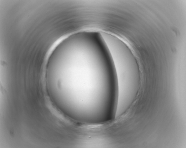 X0000091340864200708101018