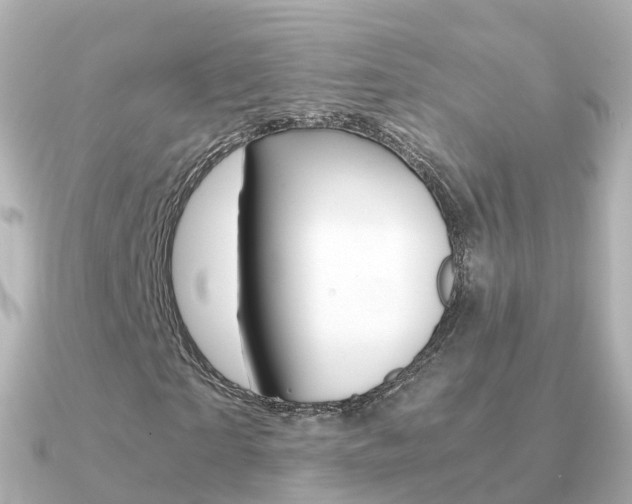 X0000091340865200708101017