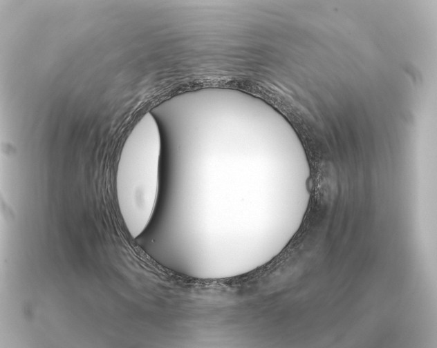 X0000091340866200708101017