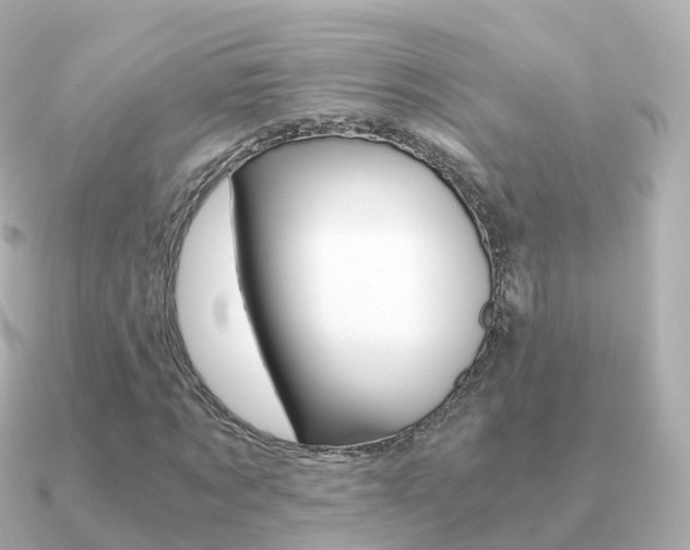 X0000091340869200708101017