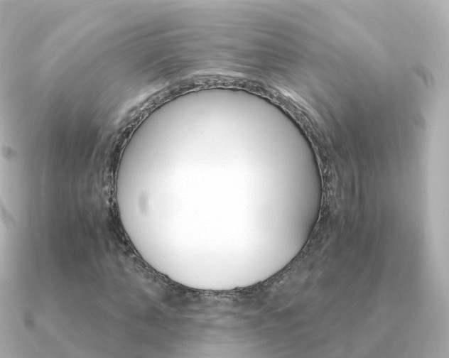 X0000091340870200708101017