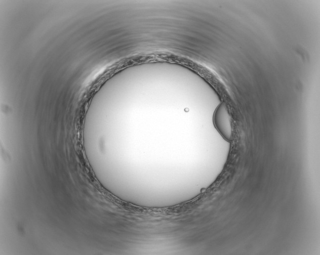 X0000091340871200708101017