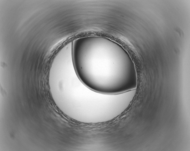 X0000091340872200708101017