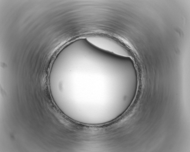 X0000091340873200708101017