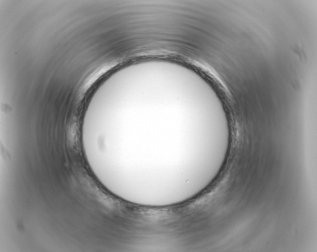 X0000091340874200708101017