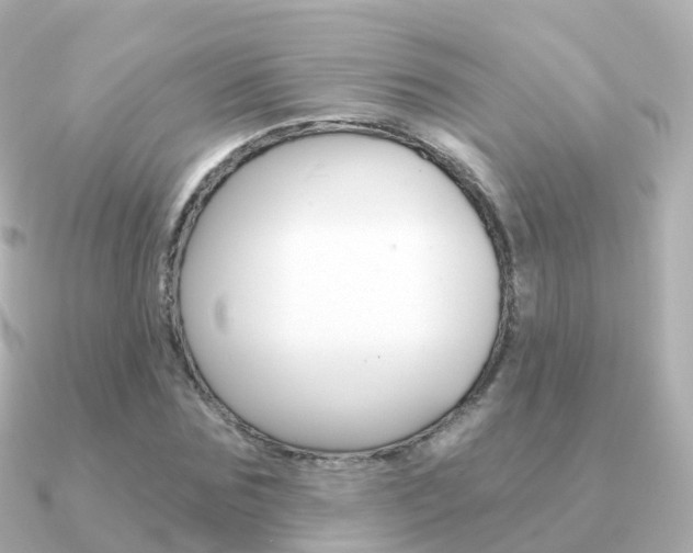 X0000091340875200708101017