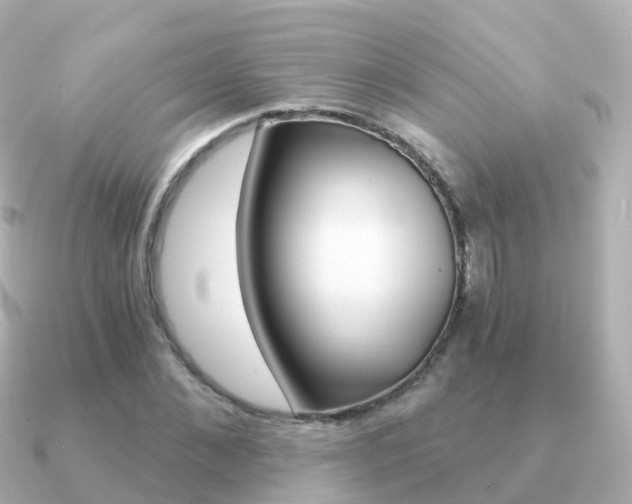 X0000091340876200708101017