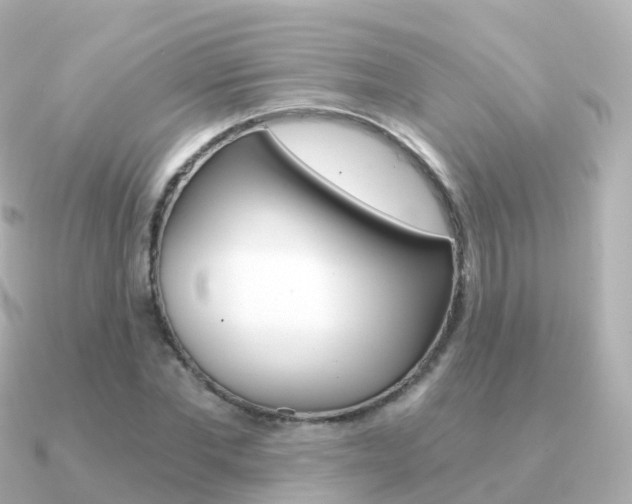 X0000091340877200708101017