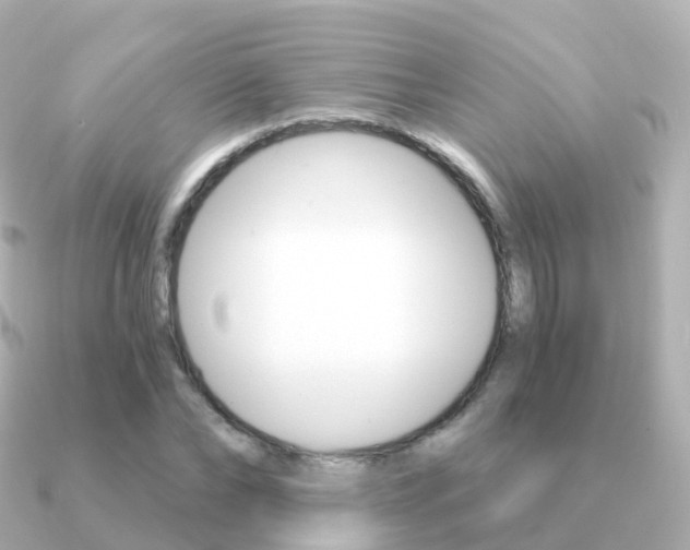 X0000091340878200708101017