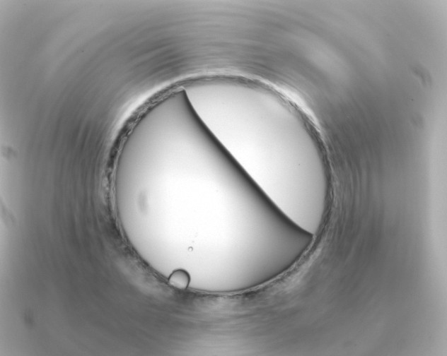 X0000091340879200708101017